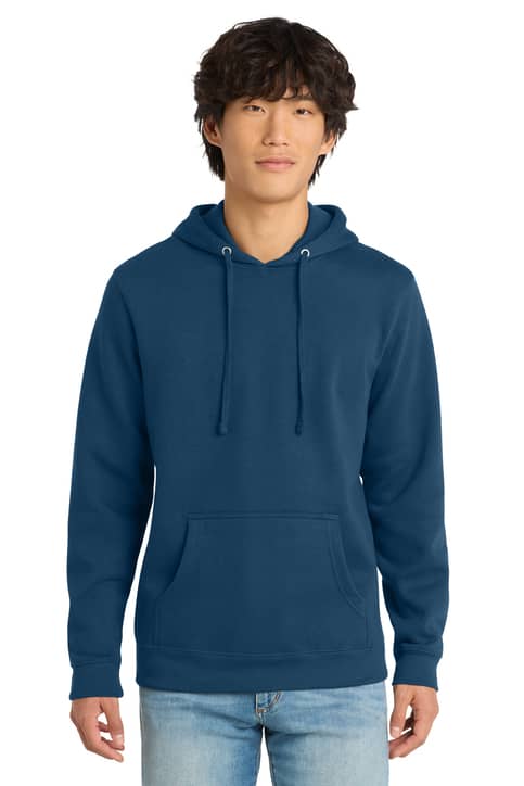 District DT6100 Hoodie - Birdshot Branding